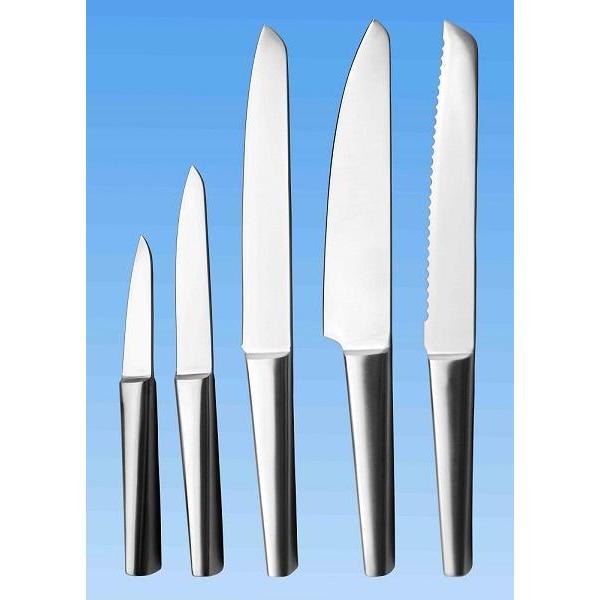 Set de 5 couteaux de cuisine tout inox | Manche Creuse