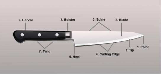 Kitchen tip: Anatomy of a chef's knife (and how to hold one like a