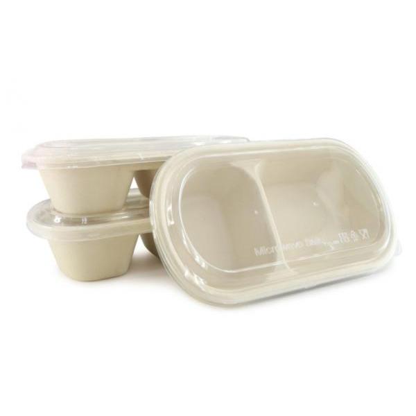 Compostable Bagasse Meal Container
