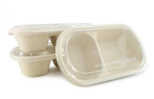 Compostable Bagasse Meal Container